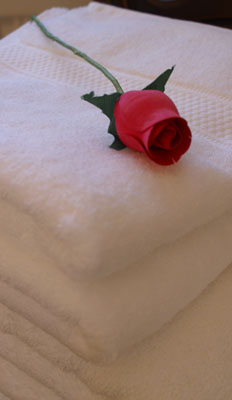 De Binnenhorst, roos op stapel handdoeken